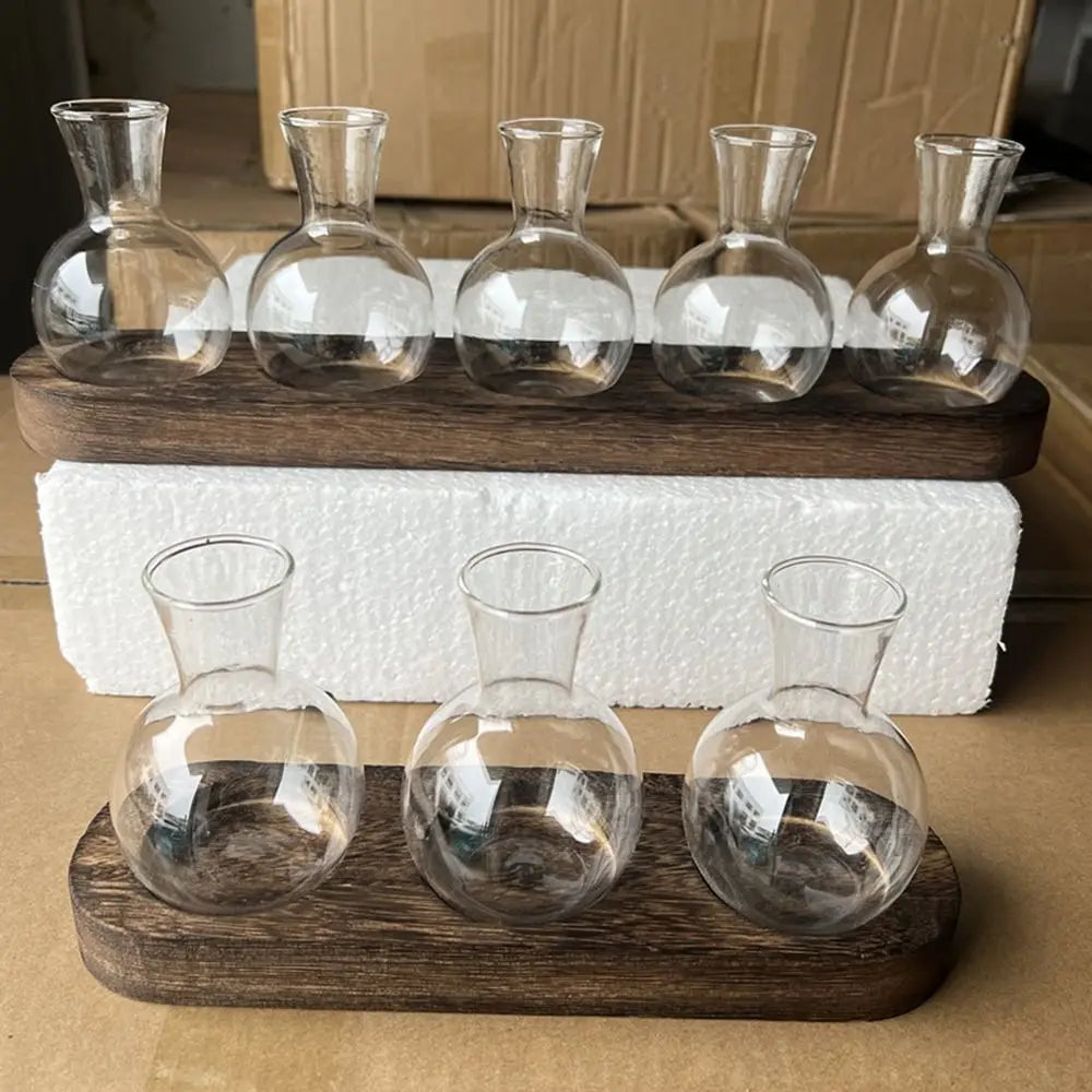 Modern Transparent Hydroponics Glass Vase with Wooden Tray