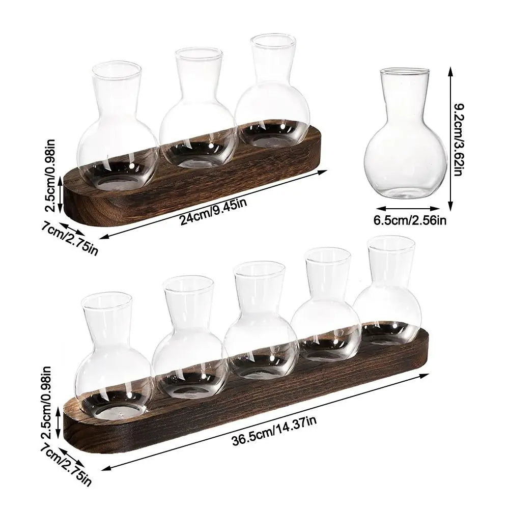 Modern Transparent Hydroponics Glass Vase with Wooden Tray