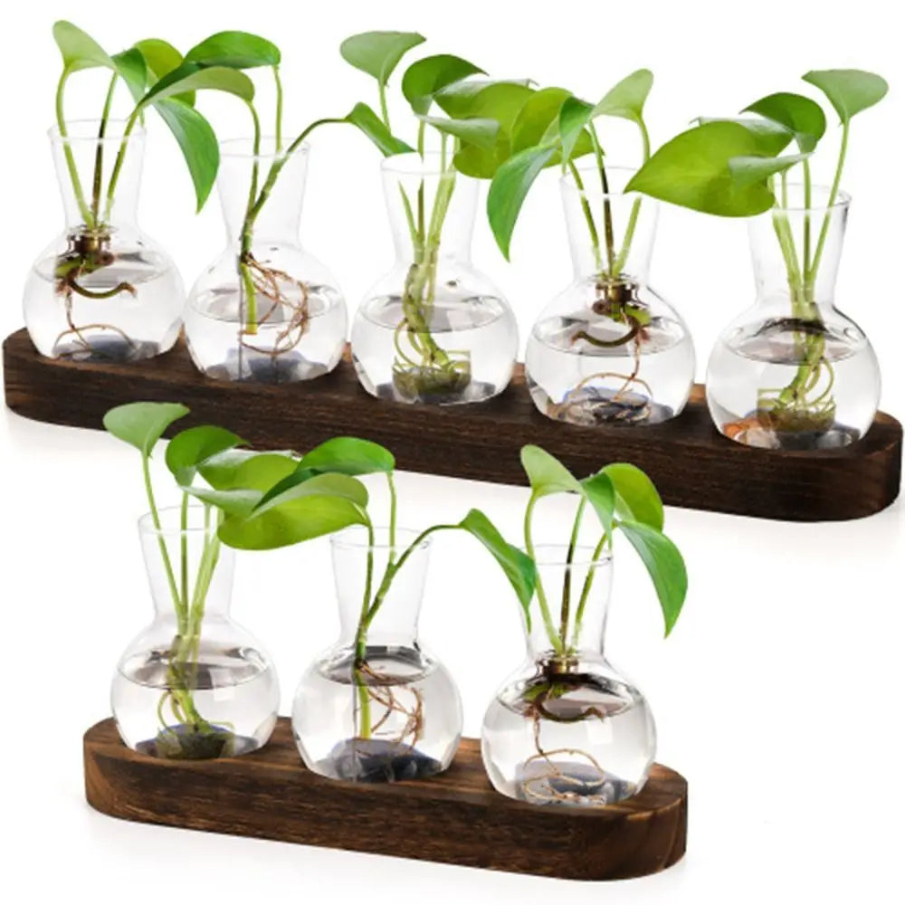 Modern Transparent Hydroponics Glass Vase with Wooden Tray