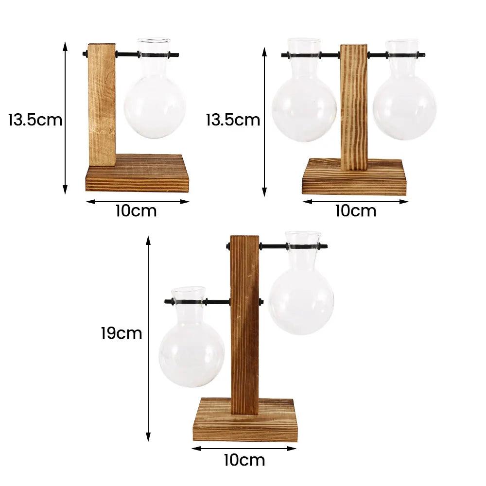 Creative Glass Desktop Hydroponic Plant Vase With Wooden Stand