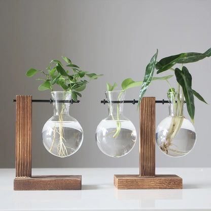 Creative Glass Desktop Hydroponic Plant Vase With Wooden Stand