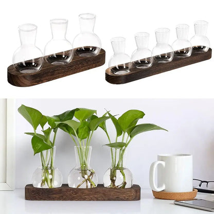 Modern Transparent Hydroponics Glass Vase with Wooden Tray