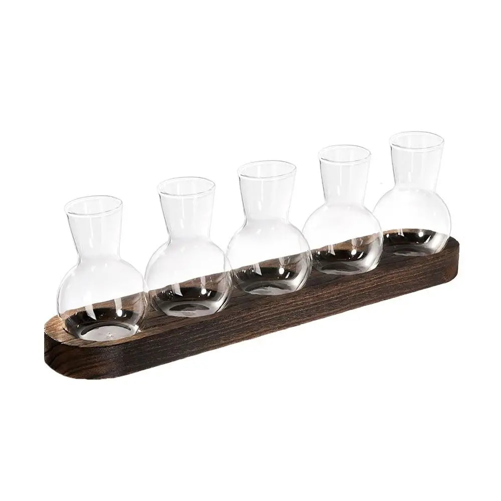 Modern Transparent Hydroponics Glass Vase with Wooden Tray