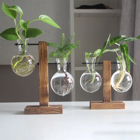 Creative Glass Desktop Hydroponic Plant Vase With Wooden Stand