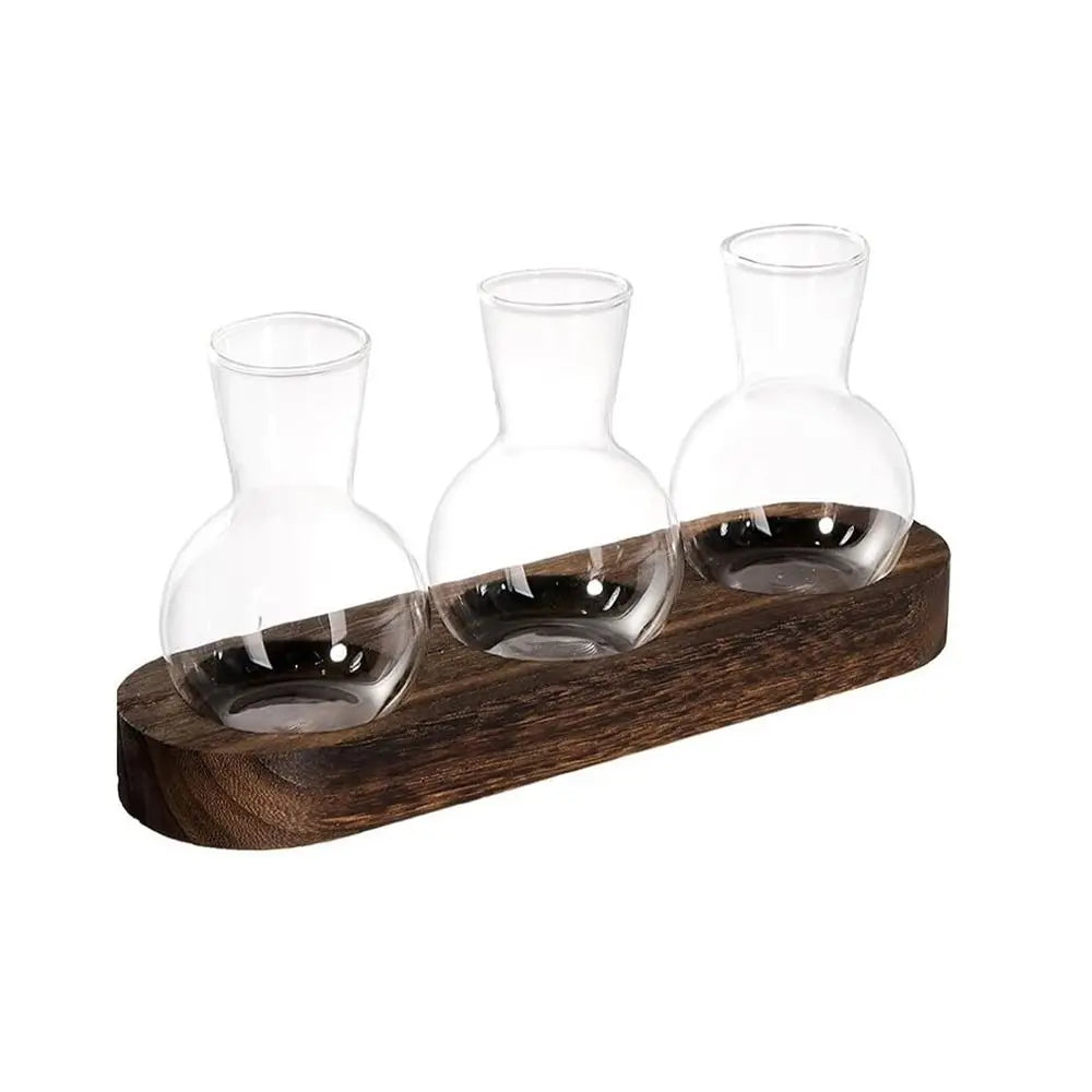 Modern Transparent Hydroponics Glass Vase with Wooden Tray