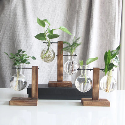 Creative Glass Desktop Hydroponic Plant Vase With Wooden Stand